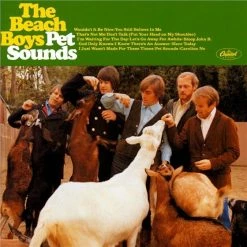 Les meilleures critiques de ⌛ Pet Sounds - Capitol Records (LP) Von The Beach Boys ⭐