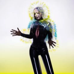 Grosses soldes 🔔 Björk Vulnicura (2 LPs) Von Björk 🎉