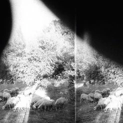 De gros 😍 Asunder, Sweet & Other Distress (LP + Digital Copy) Von Godspeed You Black Emperor 🔔