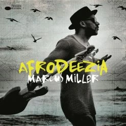 De gros 🌟 Afrodeezia (2 LPs) Von Marcus Miller ⌛