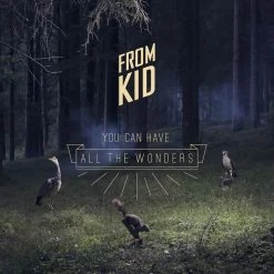 Remise 🛒 You Can Have All The Wonders (2 LPs) Von From Kid 😀