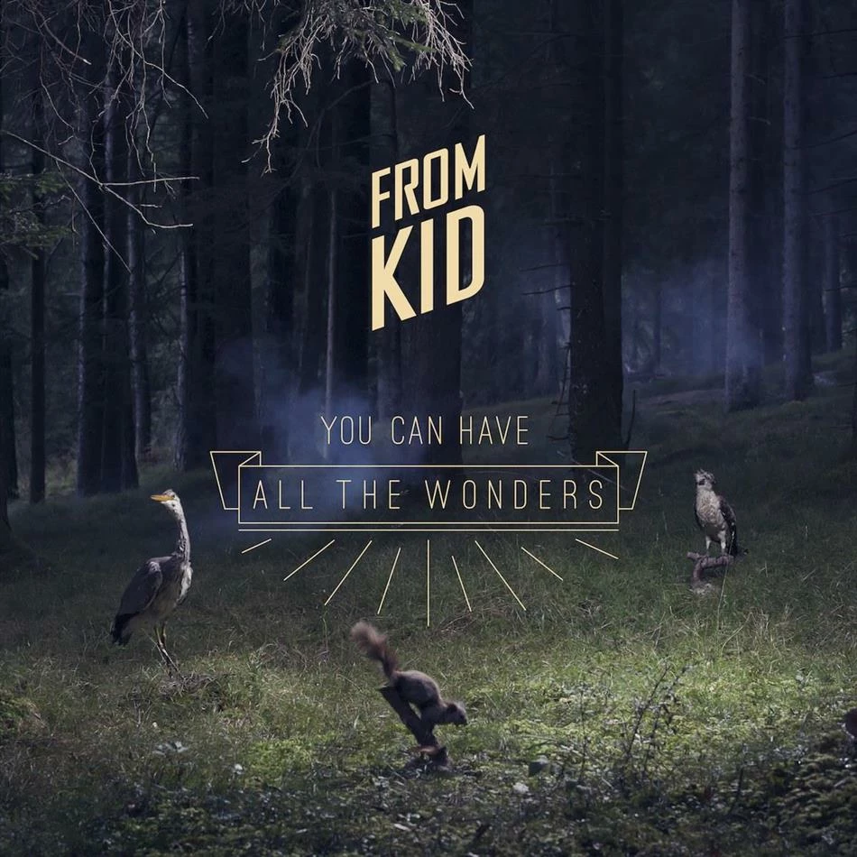 Remise 🛒 You Can Have All The Wonders (2 LPs) Von From Kid 😀
