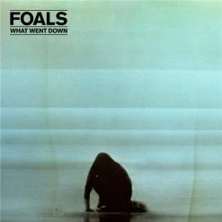 Remise 😉 What Went Down (LP) Von Foals 🛒