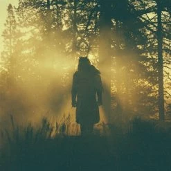Grosses soldes 😉 Beyond / Where The Giants Roam (LP) Von Thundercat 🤩