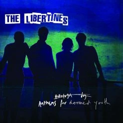 Meilleure affaire ❤️ Anthems For Doomed Youth (LP) Von The Libertines 🎁