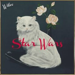 Sortie 🤩 Star Wars (LP) Von Wilco 🛒