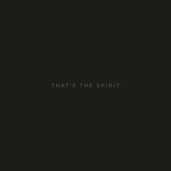 Acheter ✨ That's The Spirit (LP + CD) Von Bring Me The Horizon ✔️