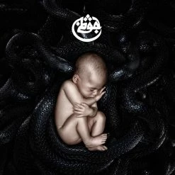 De gros 🔥 Leben II (Limited Edition, 2 LPs + CD) Von Azad ❤️